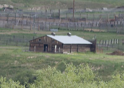 Barns along the Highway