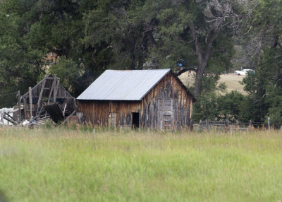 Barns along the Highway