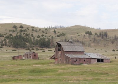 Barns along the Highway