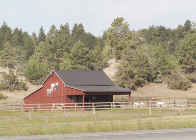 Barns along the Highway