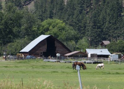 Barns along the Highway