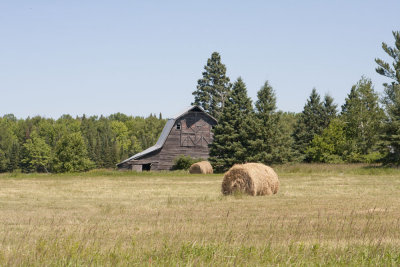 Barns along the Highway