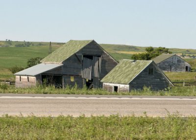 Barns along the Highway