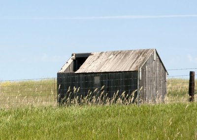 Barns along the Highway