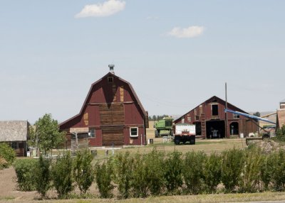 Barns along the Highway