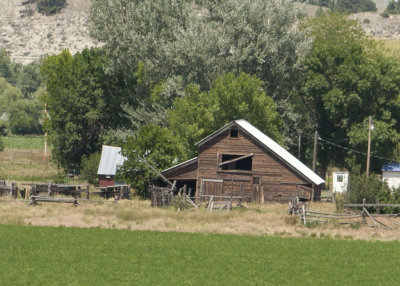 Barns along the Highway