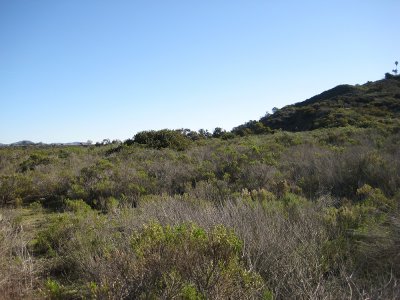 Coastal Plains