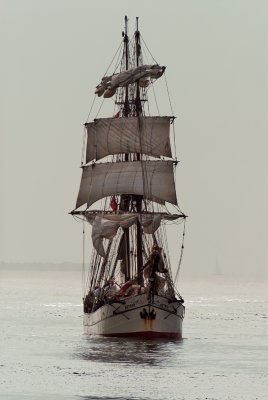 Tallship 'Astrid'