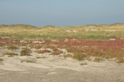 g1/01/641201/3/104110893.aKTGgJiF.jpg