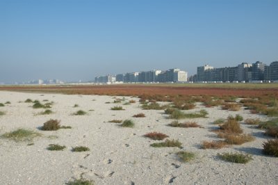g1/01/641201/3/104114423.HzuIwM7L.jpg