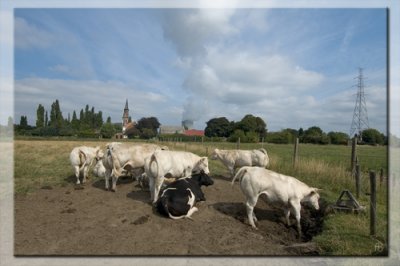 doel