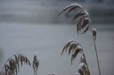 DSC_8632em.jpg