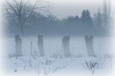 DSC_6149em.jpg