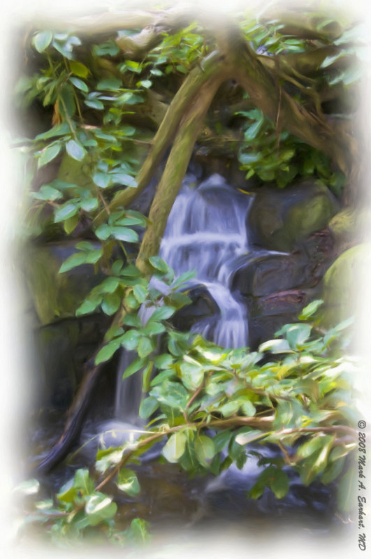 Tropical Oasis