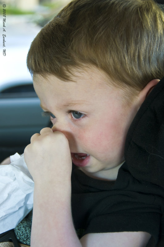 Cough and Cold Season