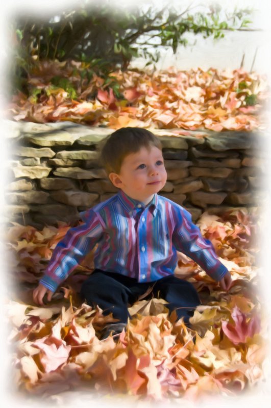 Fall Color
