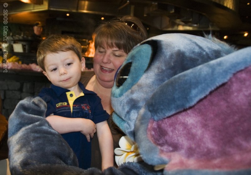 Disney World 10