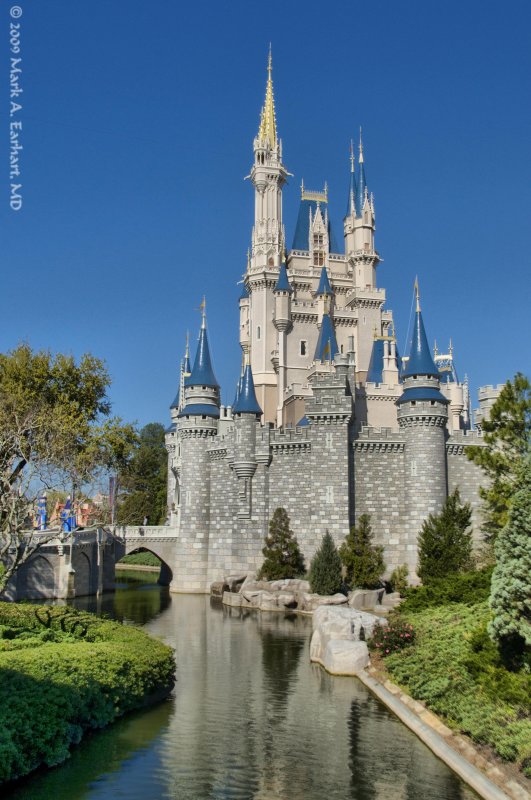 Disney World 26