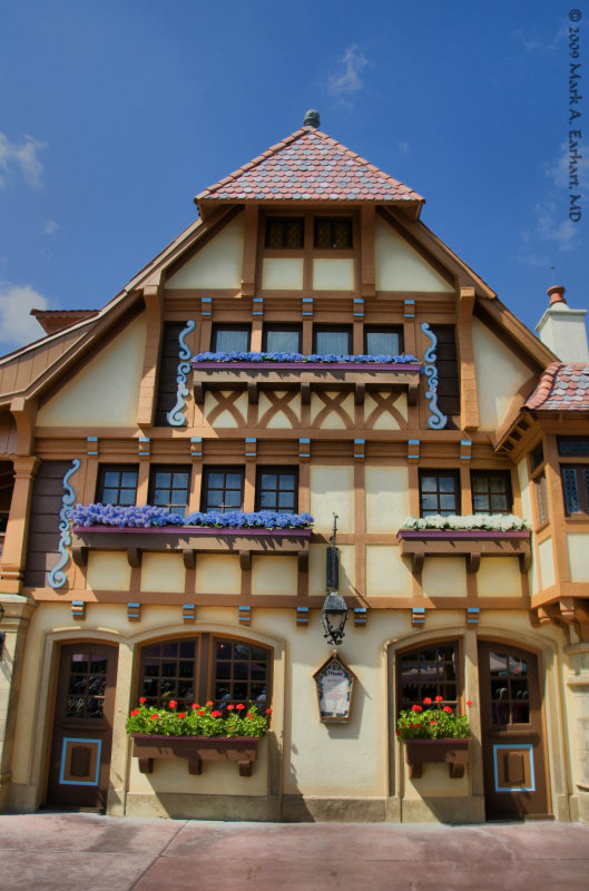 Disney World 30