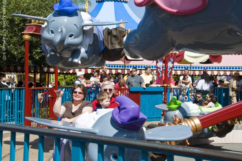 Disney World 17