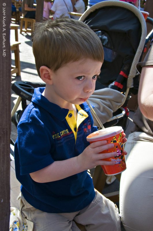 Disney World 20