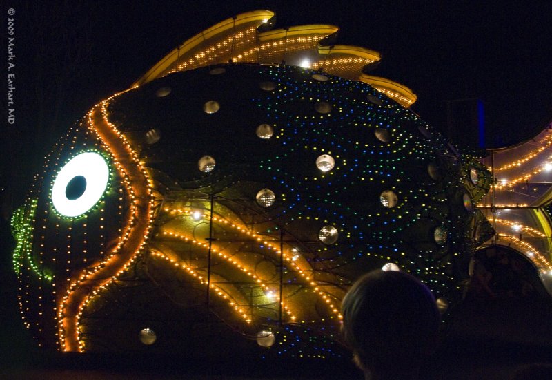 Disney World 94