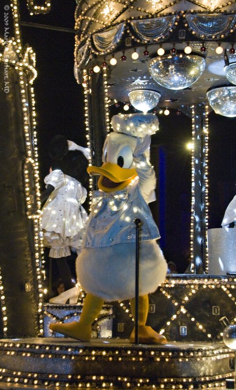 Disney World 100