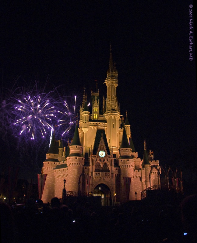 Disney World 104