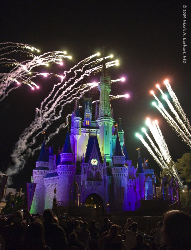 Disney World 110