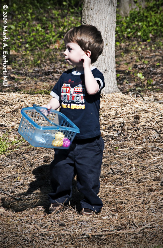 Hunting Eggs 5