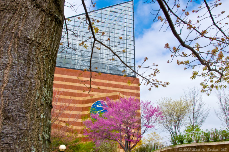Tennessee Aquarium, Chattanooga