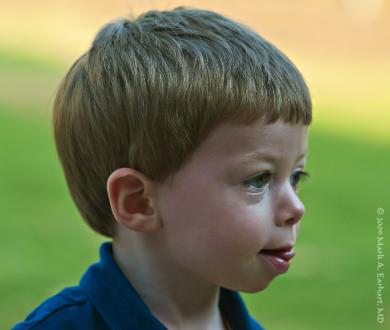 Tounge In Cheek