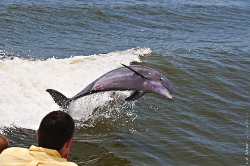 Wake Jumping 1