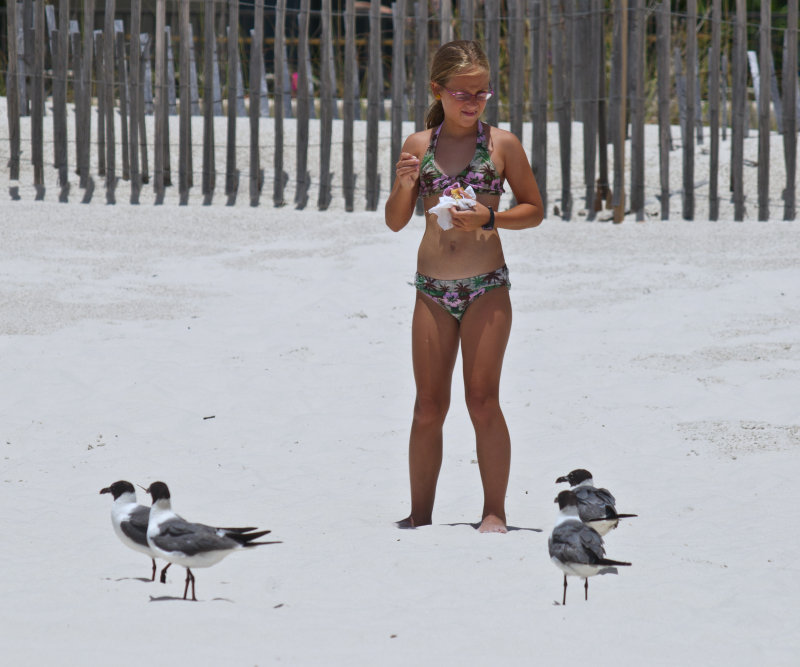 Feeding The Birds 1