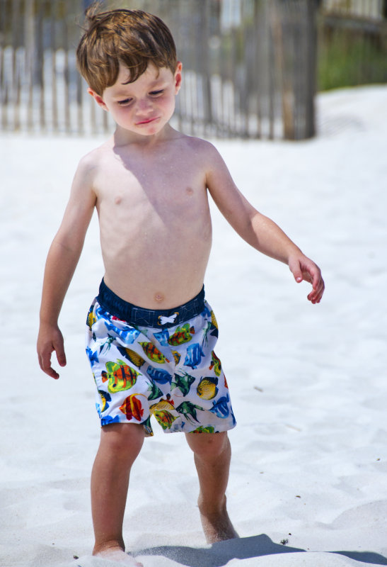 Trudging Through The Sand