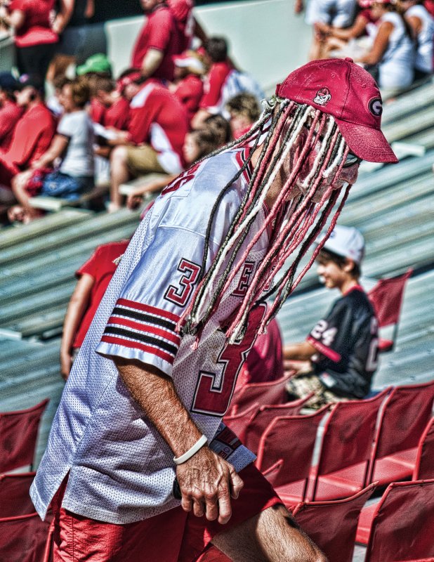 Spirit Of The Fan