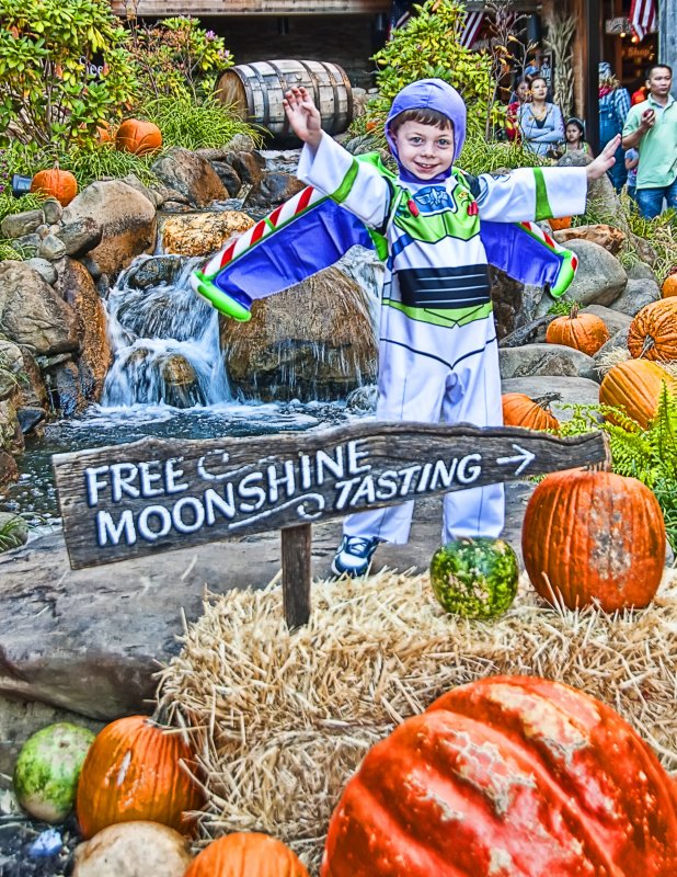 Buzz In Gatlinburg, Tennessee 5