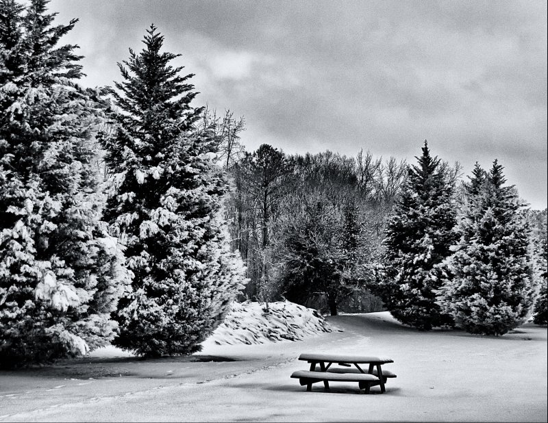 Winters Picnic
