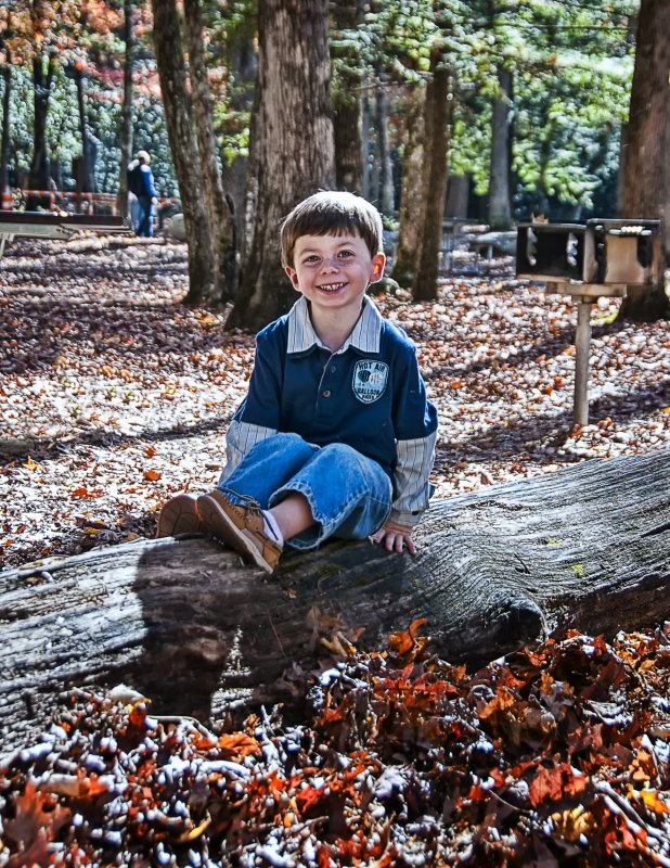 In The Woods 14