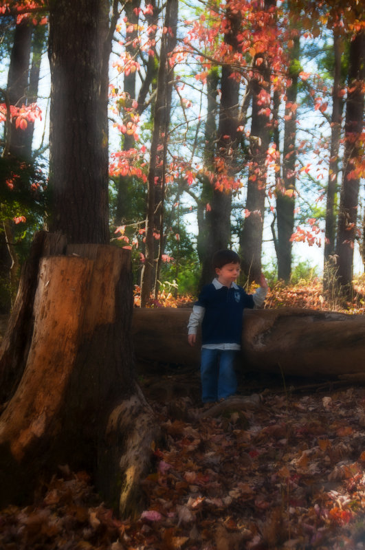 In The Woods 19