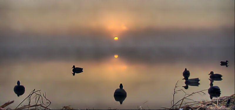 Fog On The Lake In The Early  Morning