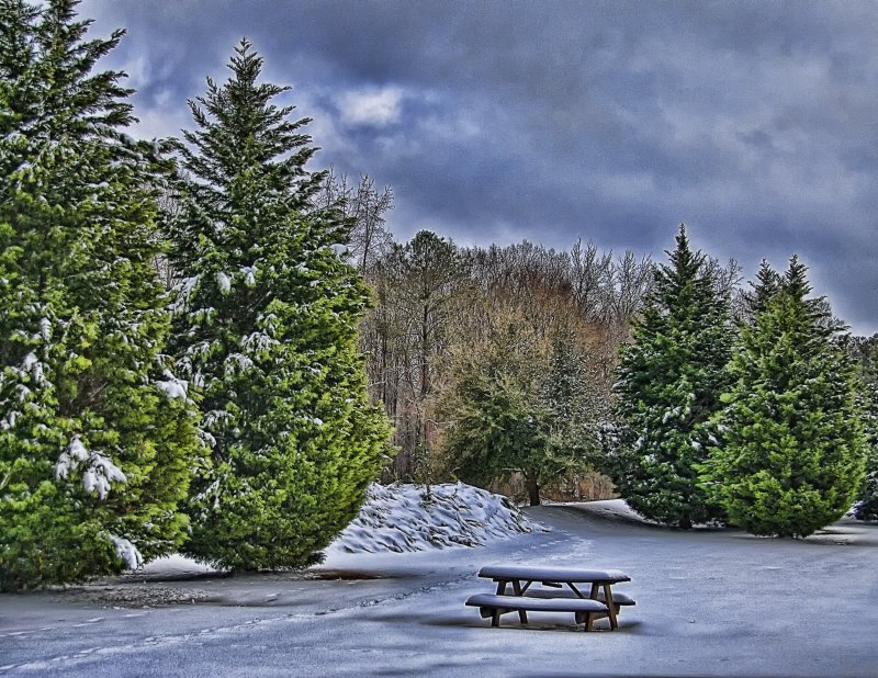 Winters Picnic (Color Version)