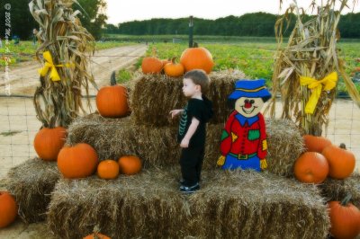 Haybales & Pumpkins 1