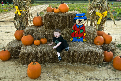 Haybales & Pumpkins 2