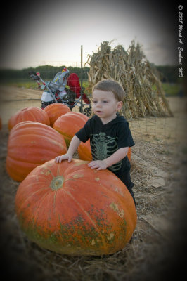 Eli & The Great Pumpkin 1