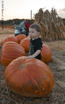 Eli & The Great Pumpkin 2