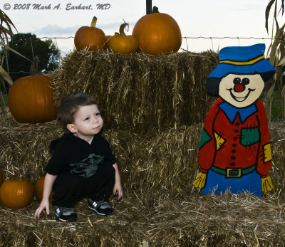 Haybales & Pumpkins 3