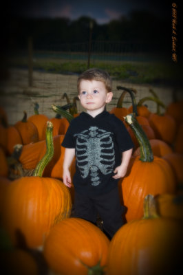 Eli & The Pumpkin Patch 2