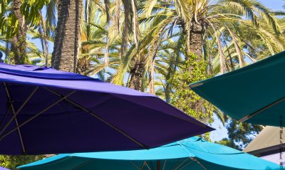 California Umbrellas