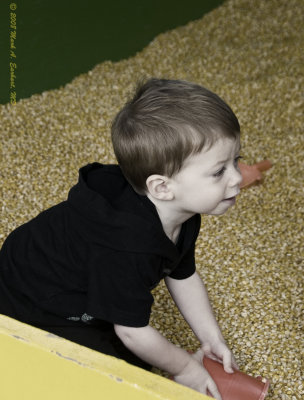 Corn Box 1